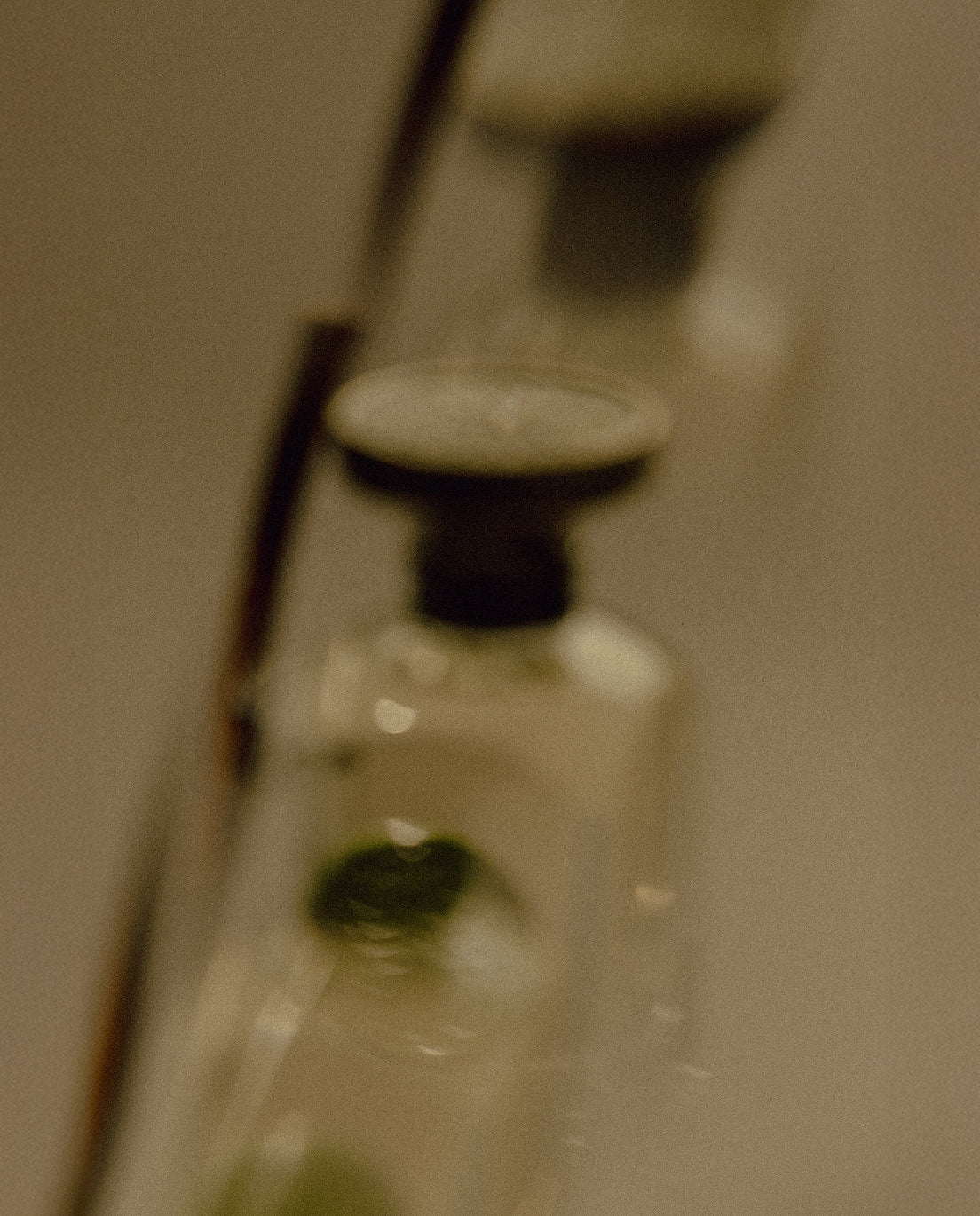 A Sensory Voyage